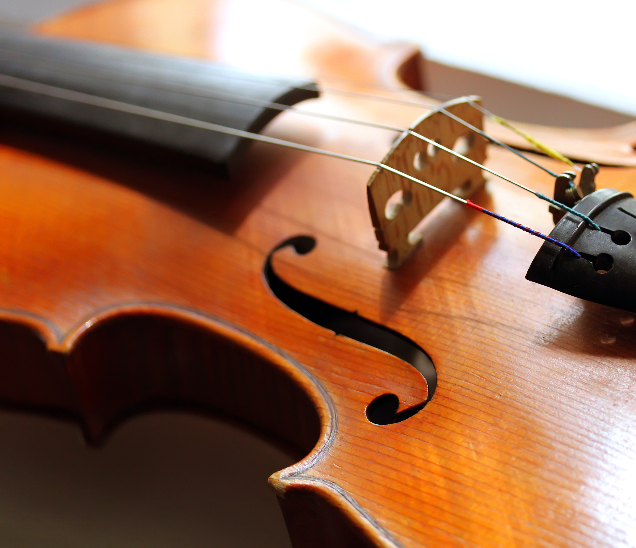 shutterstock_151306109